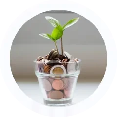 plant growing from coins in small vase